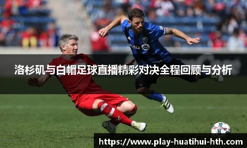 华体会hth sports