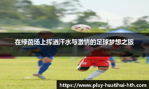 在绿茵场上挥洒汗水与激情的足球梦想之旅